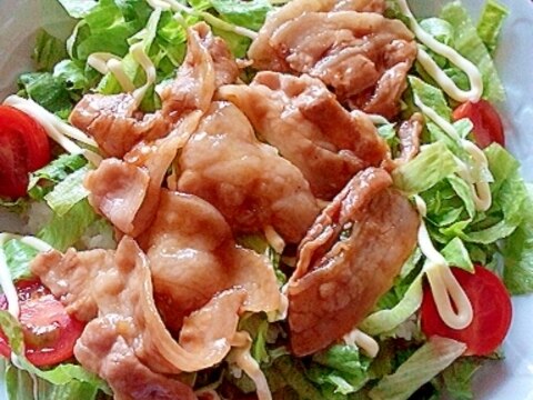 豚バラサラダ丼